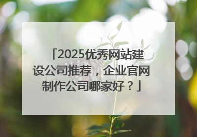 2025优秀网站建设公司推荐，企业官网制作公司哪家好？
