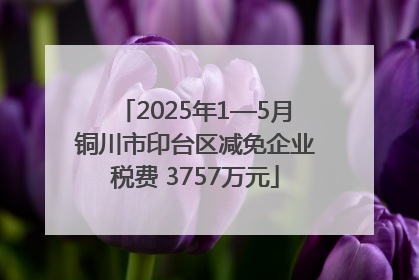 2025年1—5月铜川市印台区减免企业税费 3757万元