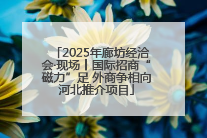 2025年廊坊经洽会·现场丨国际招商“磁力”足 外商争相向河北推介项目