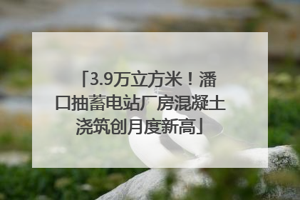 3.9万立方米！潘口抽蓄电站厂房混凝土浇筑创月度新高