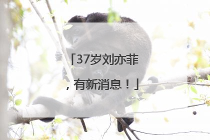 37岁刘亦菲，有新消息！