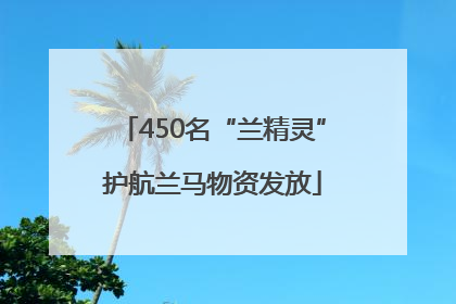 450名“兰精灵”护航兰马物资发放