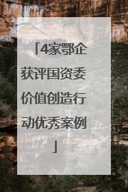 4家鄂企获评国资委价值创造行动优秀案例