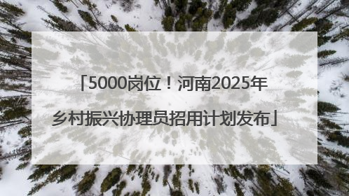5000岗位！河南2025年乡村振兴协理员招用计划发布