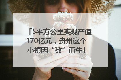 5平方公里实现产值170亿元，贵州这个小镇因“数”而生