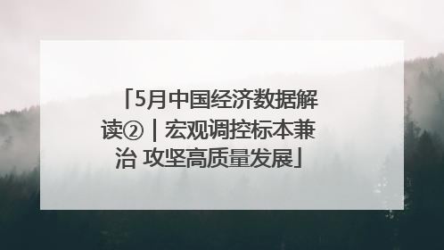 5月中国经济数据解读②｜宏观调控标本兼治 攻坚高质量发展