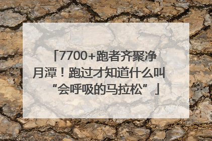 7700+跑者齐聚净月潭！跑过才知道什么叫“会呼吸的马拉松”