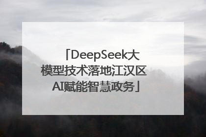 DeepSeek大模型技术落地江汉区 AI赋能智慧政务